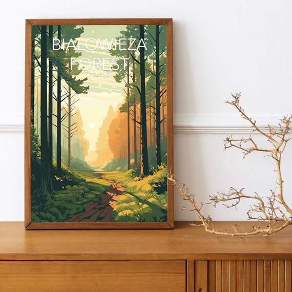 Biaowieza Forest Art Print Modern Poster Print Available In Many Sizes Or