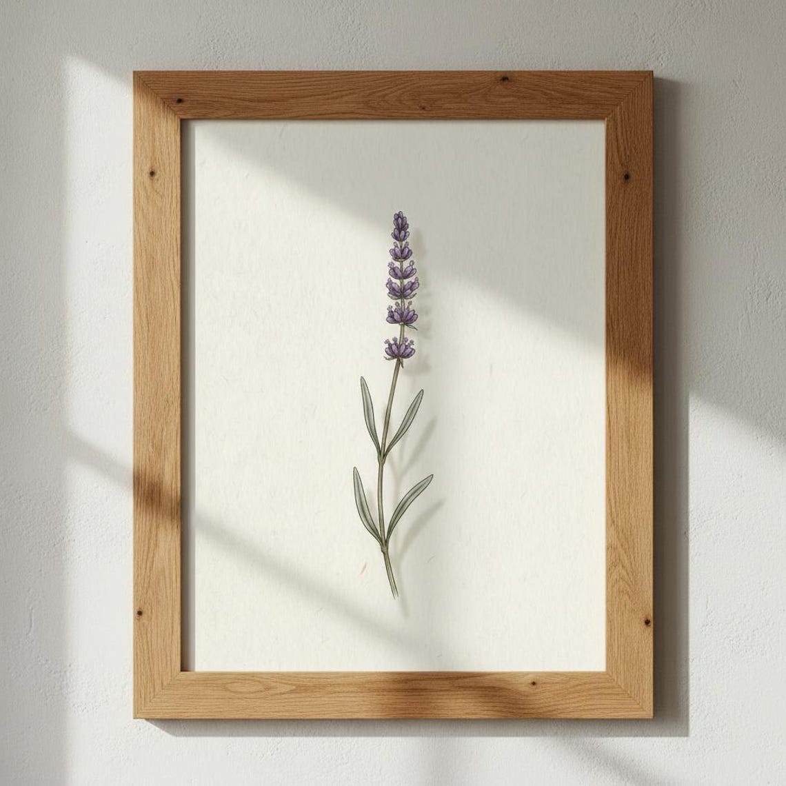 Lavender Botanical Print English Flower Illustration