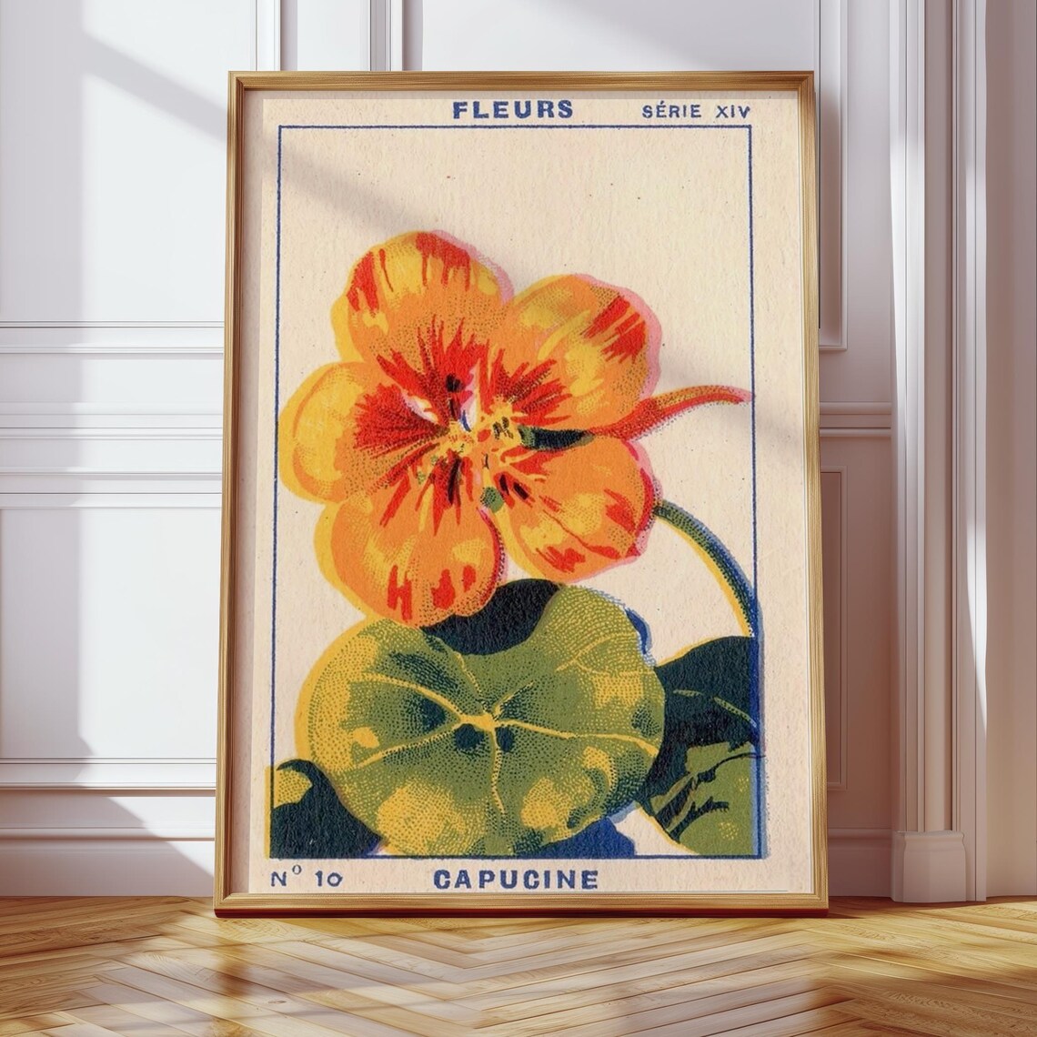 Vintage Capucine Flower Botanical Illustration Print