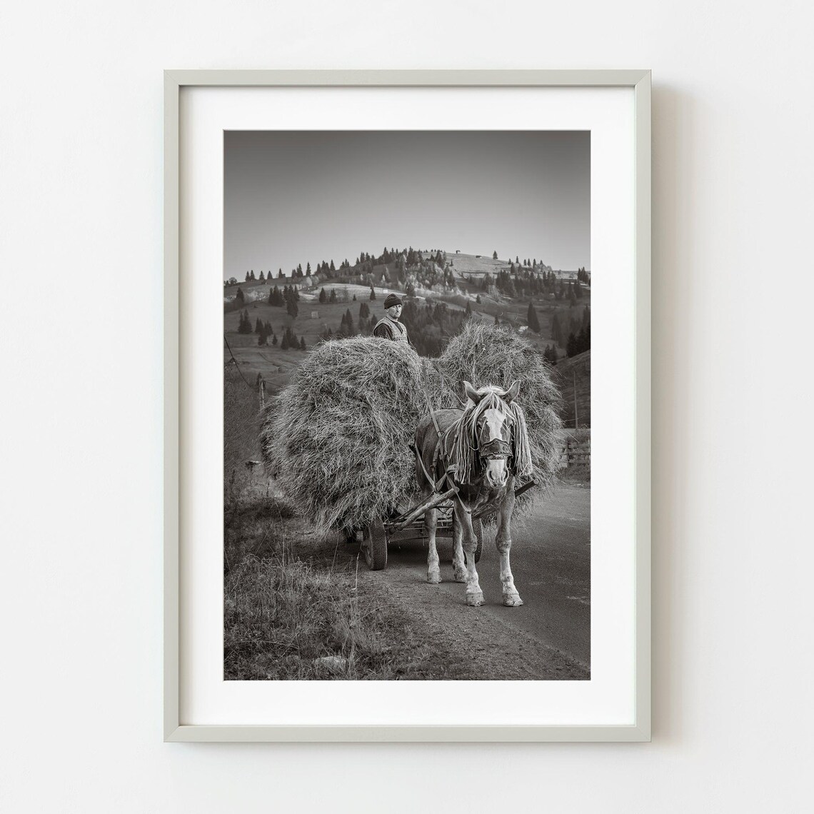 Horse Drawn Hay Cart Romanian Countryside Black And White Photo Poster