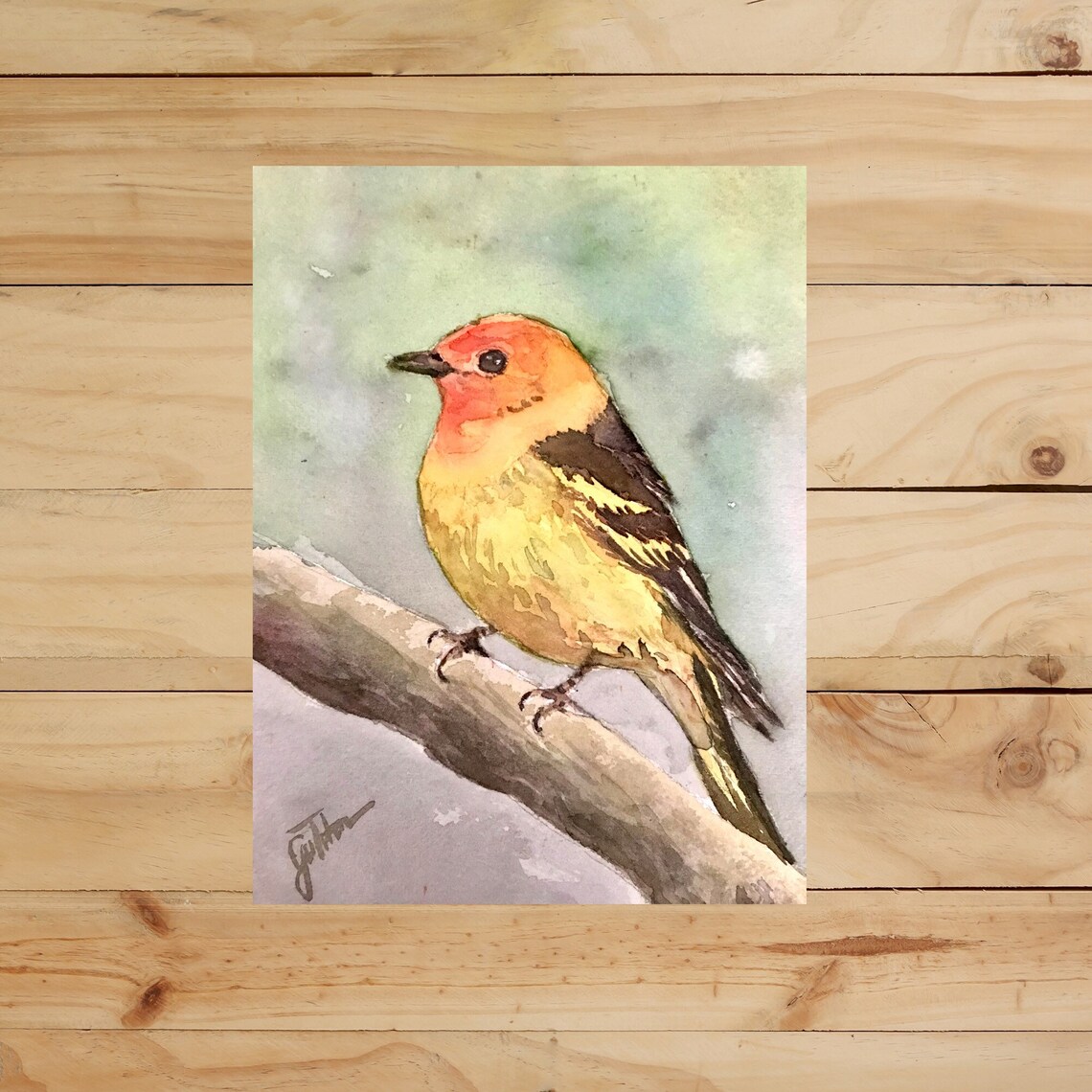 Western Tanager Songbird on Branch Watercolor Bird Art Poster