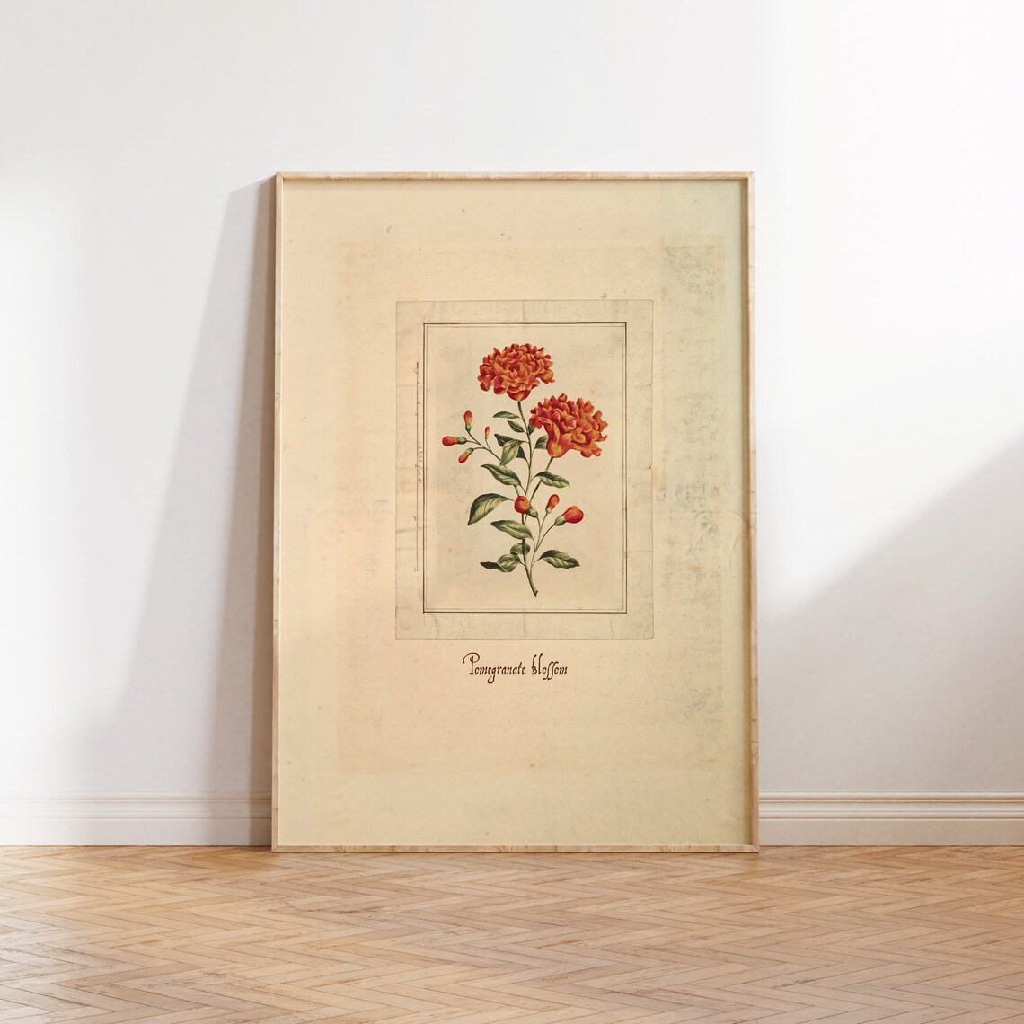 Vintage Pomegranate Blossom Illustration Art Print