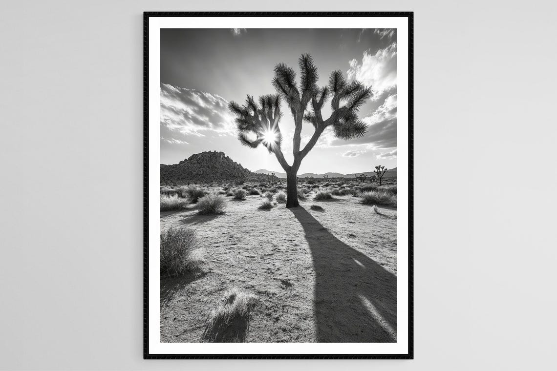 Joshua Tree Golden Hour Warm Sunlight Tranquil Desert Landscape
