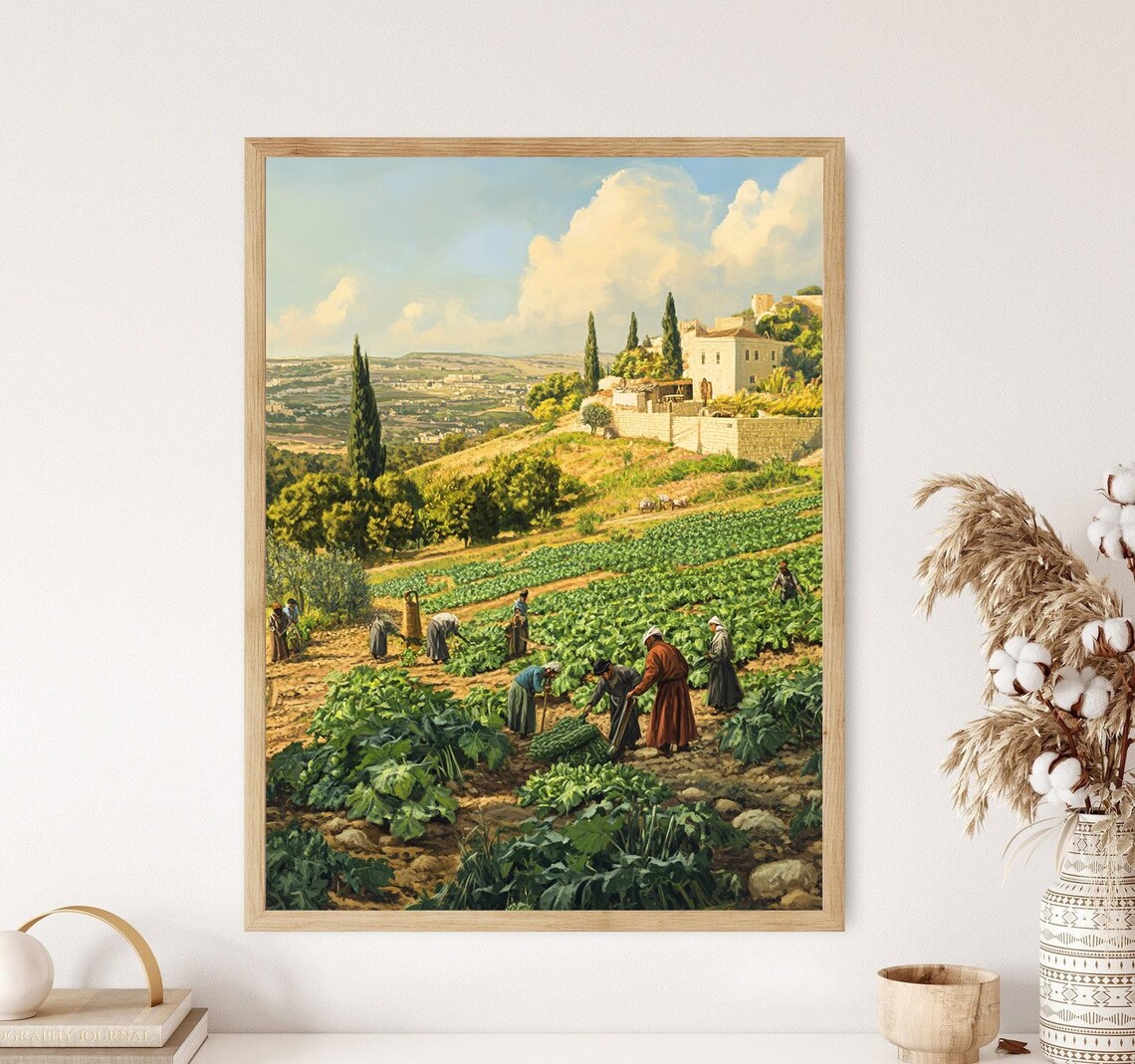 Cucumber Harvest In Jenin, Rustic Landscape