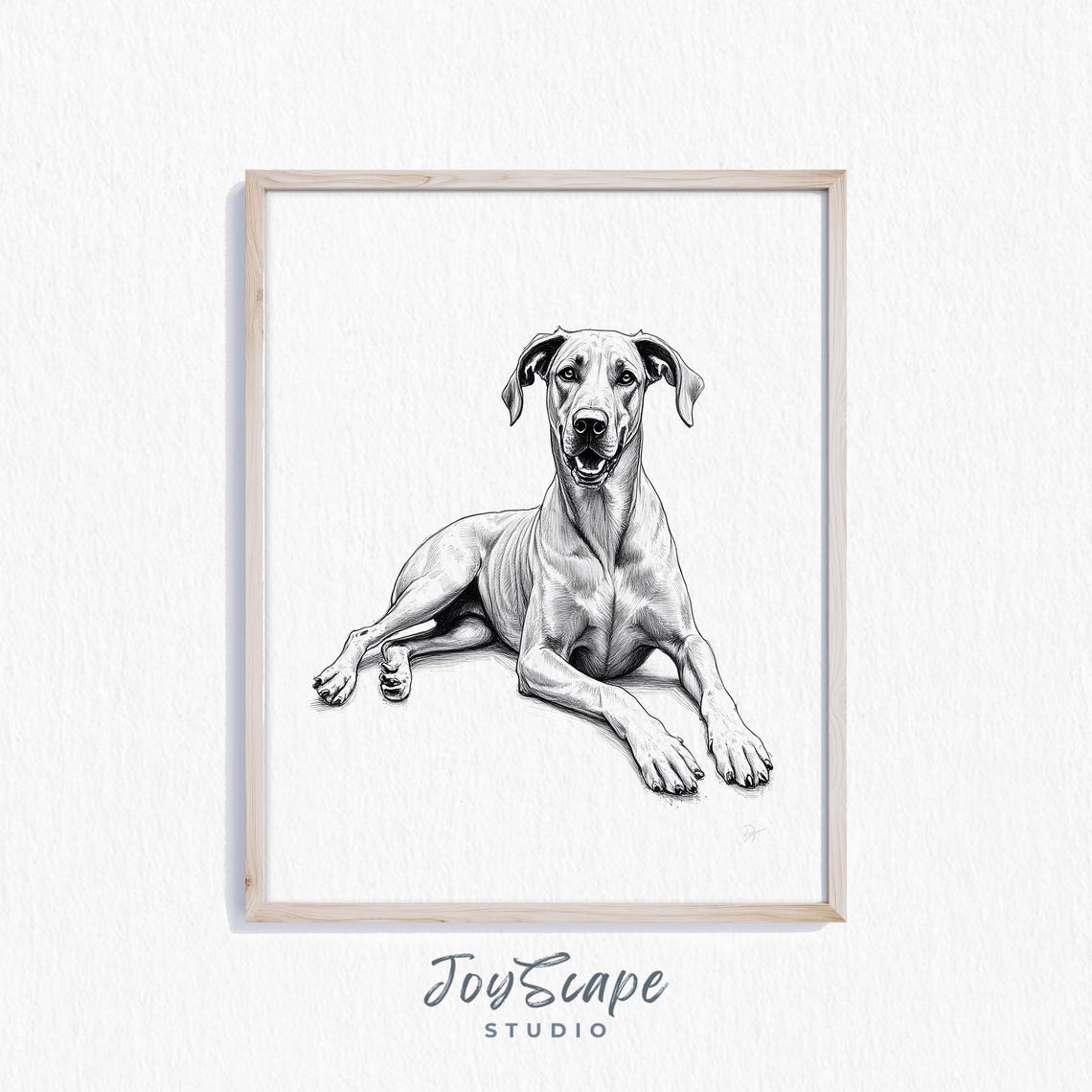 Great Dane Black And White Sketch Resting Dog Portrait Poster