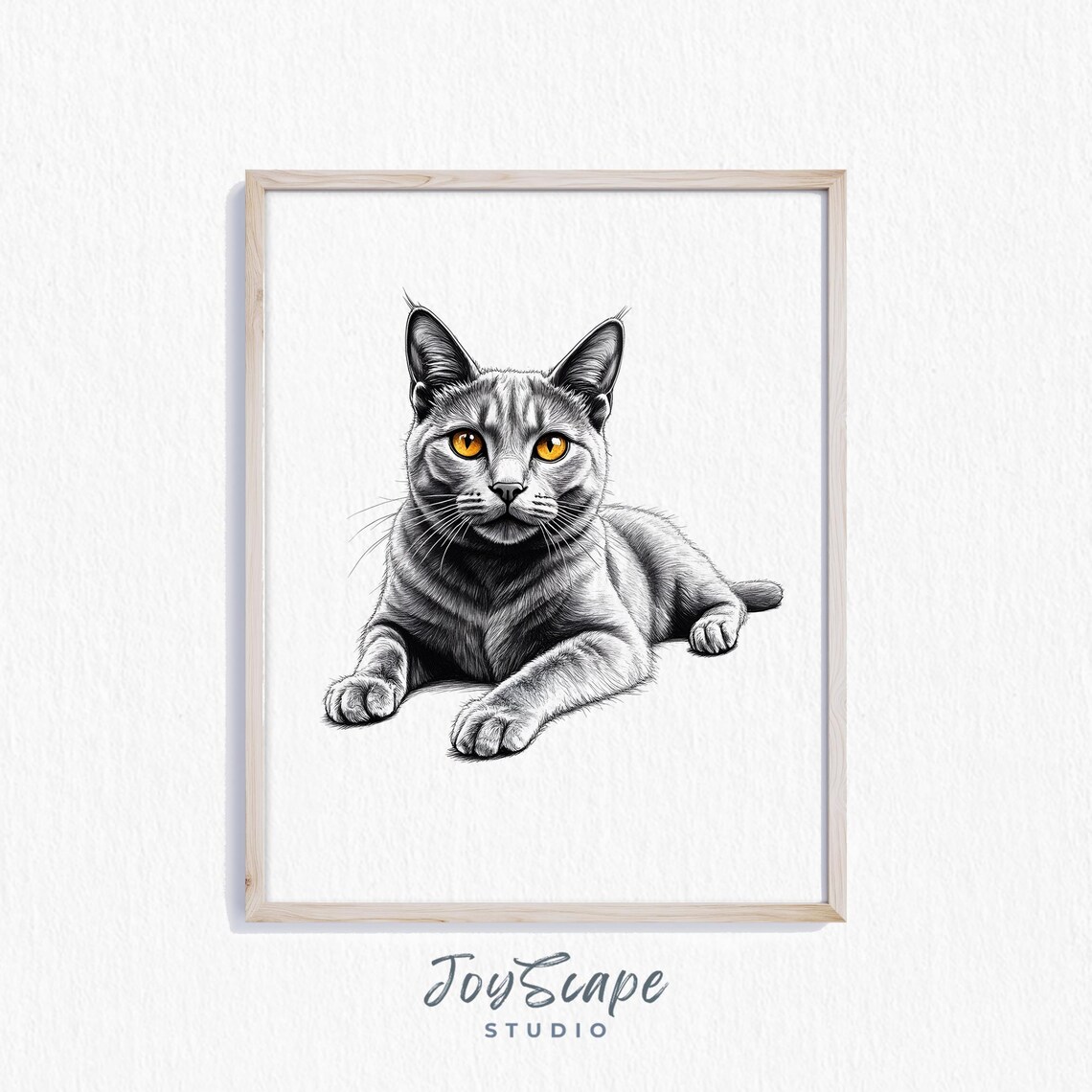 Gray Cat Amber Eyes Sketch Black and White Feline Portrait Poster