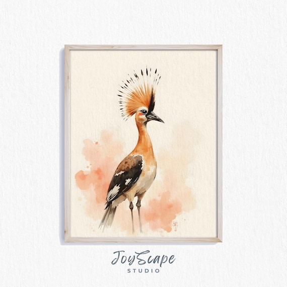 Striking Crowned Hoopoe Watercolor Painting Exotic Bird Poster