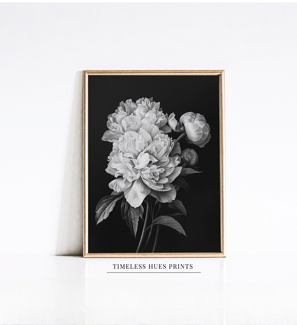 Black and White Peony Blossom on Dark Background Botanical Poster