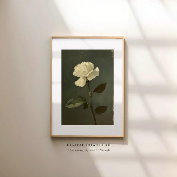 Single White Rose Moody Chiaroscuro Oil Painting Dark Floral Botanical Print