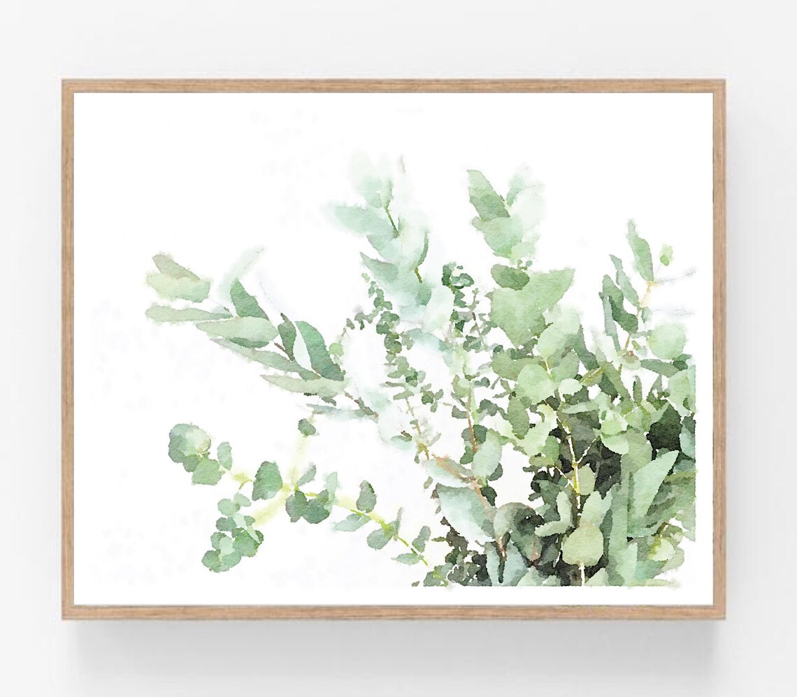 Eucalyptus Botanical Watercolor Plant Art Print