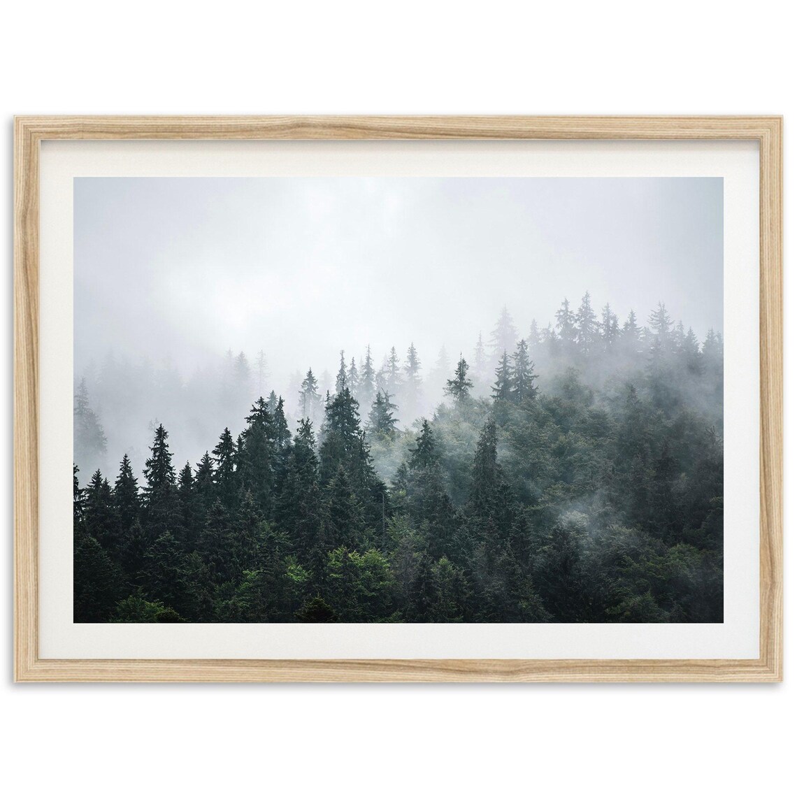Foggy Forest Photography Art Print, Nature Landscape