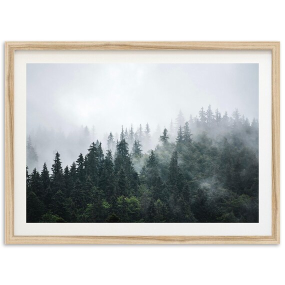 Foggy Forest Photography Art Print, Nature Landscape