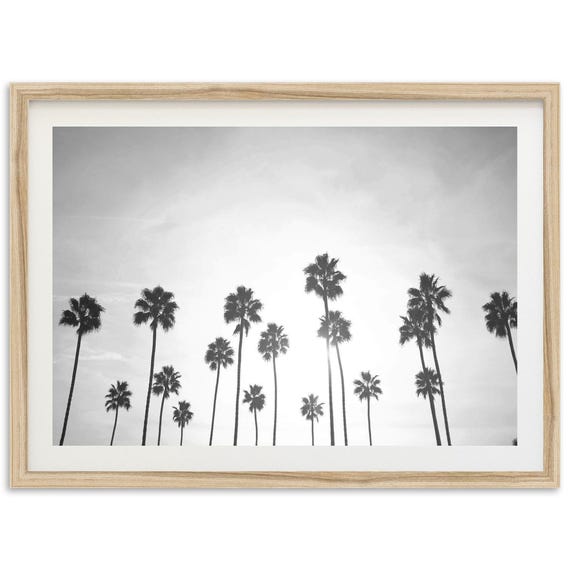 Swamis Encinitas San Diego Palm Trees Travel Poster