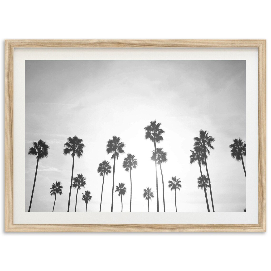 Swamis Encinitas San Diego Palm Trees Travel Poster