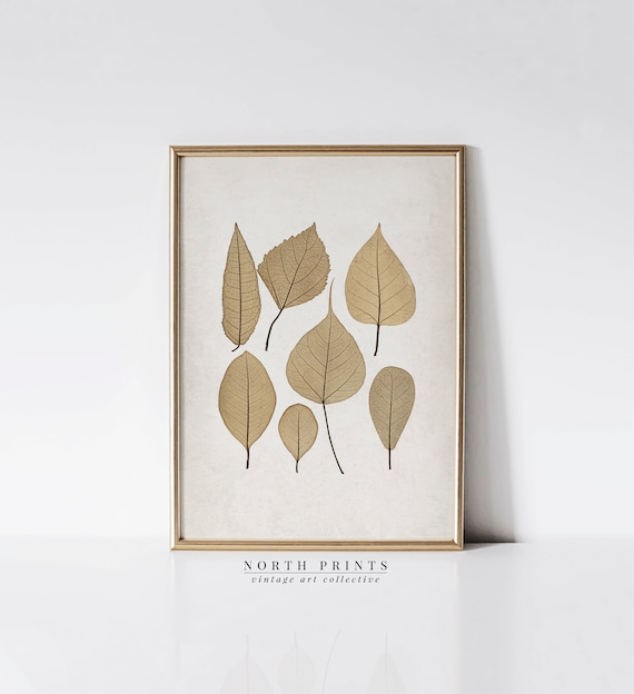 Autumn Botanical Vintage Pressed Leaf Art Print