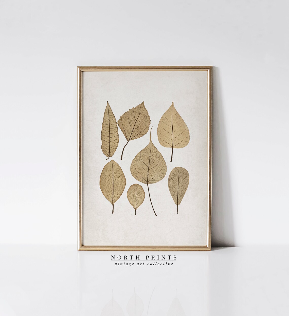Autumn Botanical Vintage Pressed Leaf Art Print