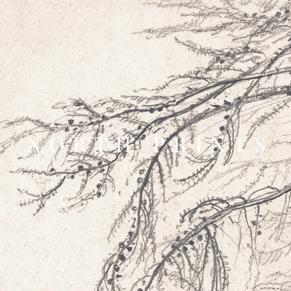 Rustic Tree Sketch, Vintage Tree Drawing - Image 4