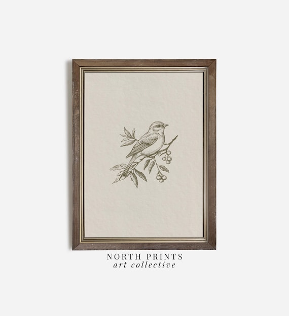 Neutral Bird Sketch Art Print, Minimalist Farmhouse