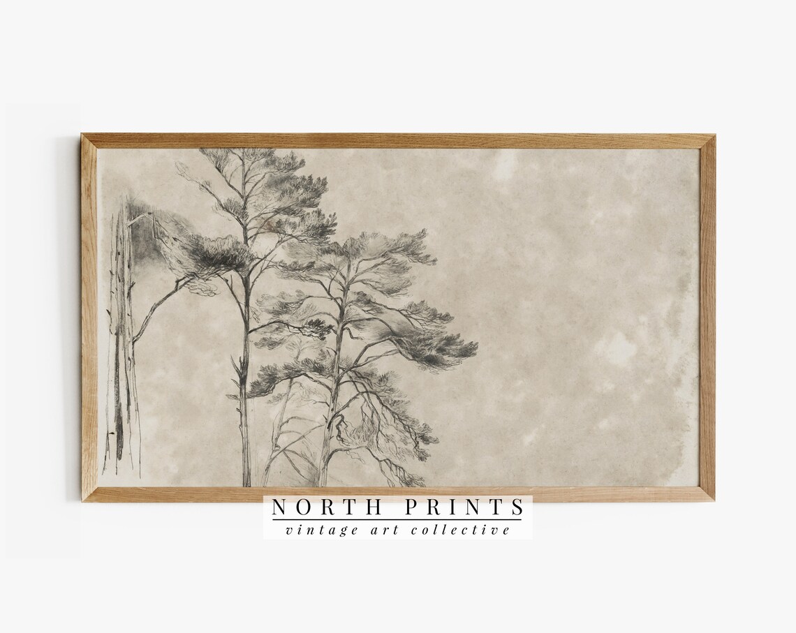 Tree Drawing Art Print, Neutral Vintage Rustic