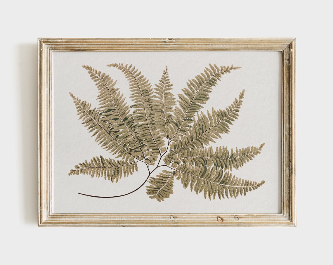 Antique Botanical Fern Print, Vintage Farmhouse Decor - Image 4