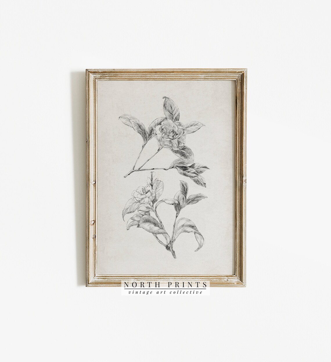 Antique Gardenia Flower Pencil Sketch Vintage Botanical Print - Image 3