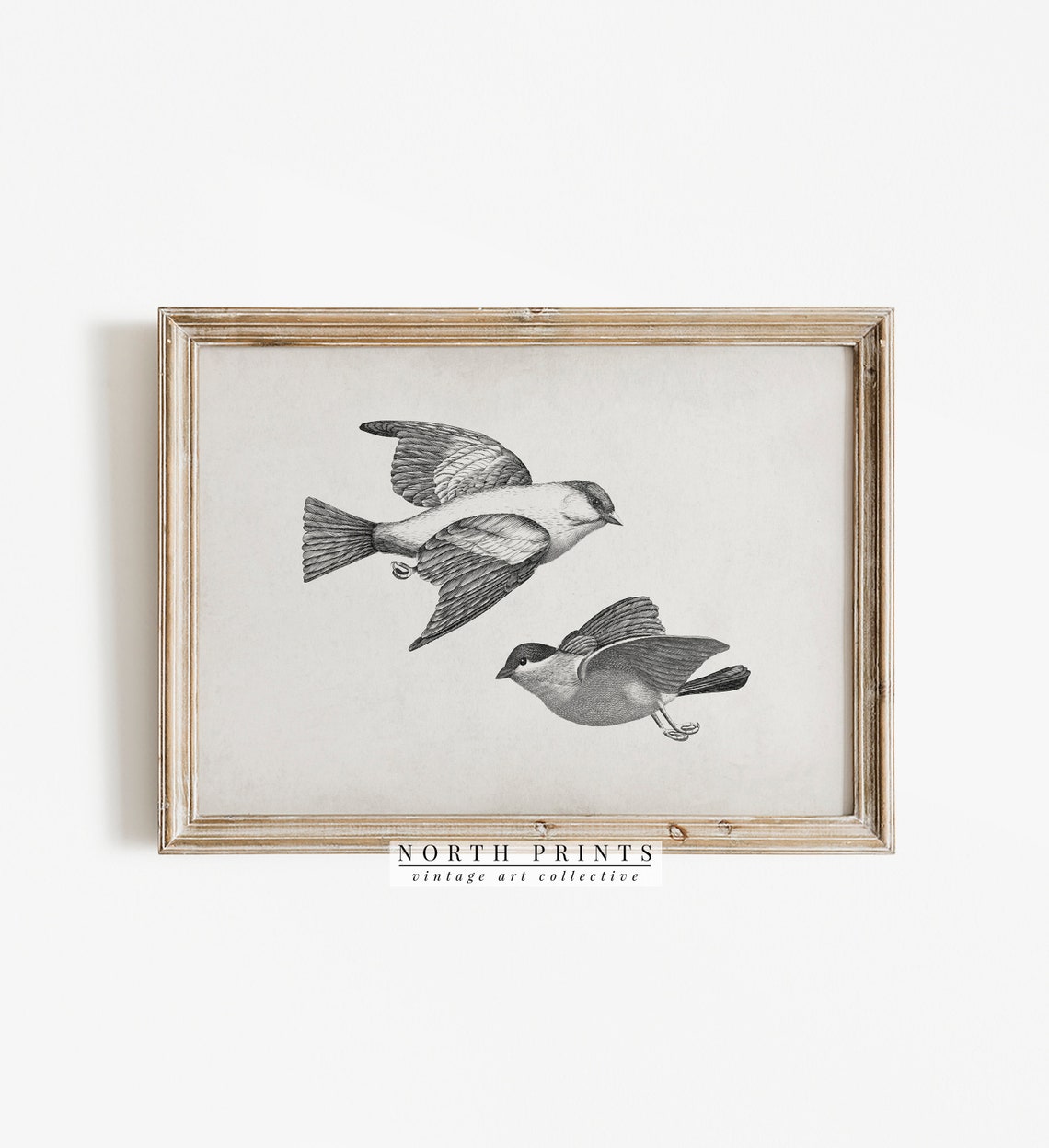 Antique Birds In Flight Engraving Vintage Bird Illustration Print - Image 3