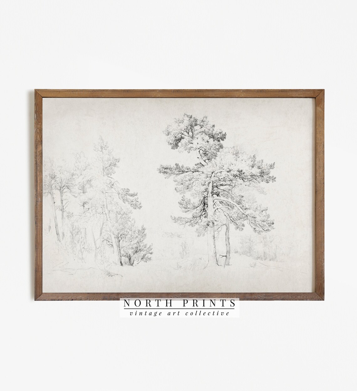 Antique Pine Tree Pencil Sketch Vintage Landscape Drawing Print - Image 3