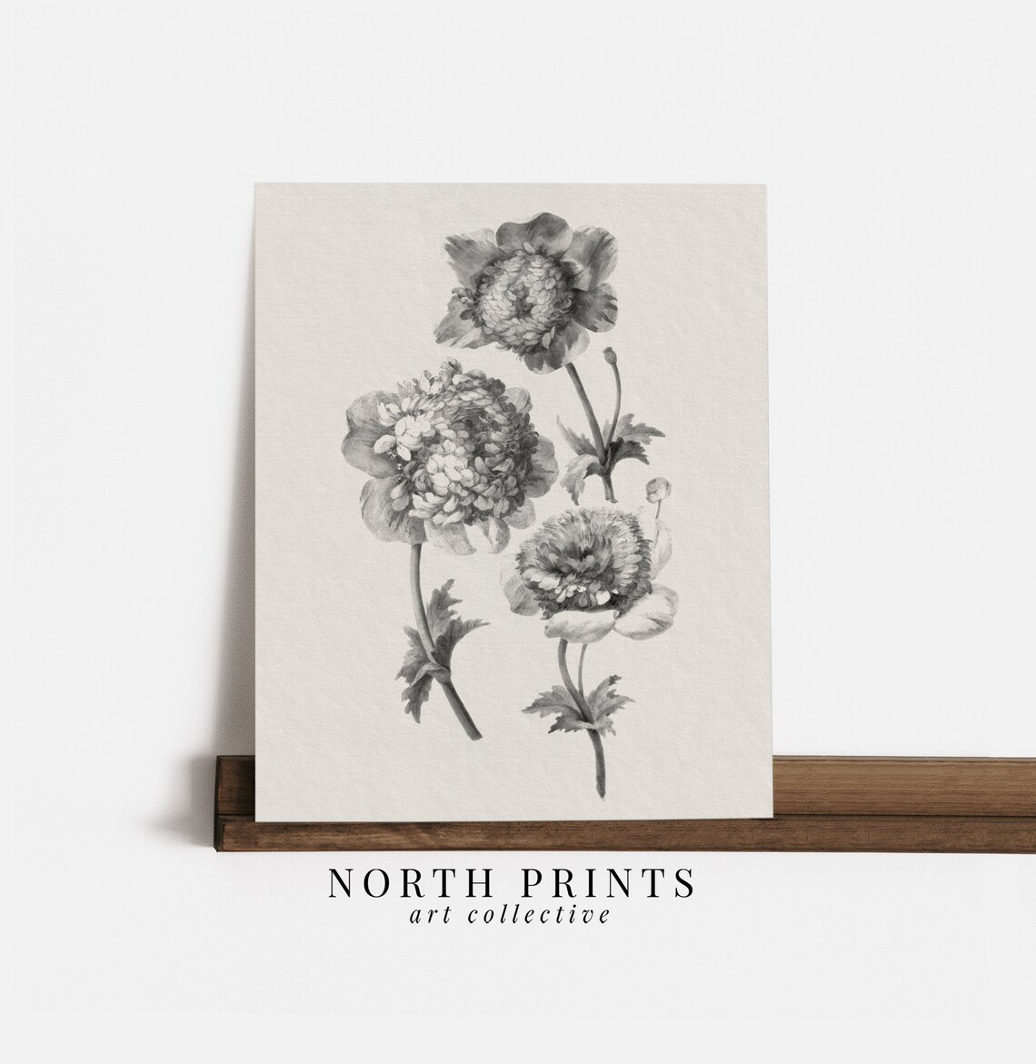 Antique Peony Flower Illustration Neutral Vintage Botanical Poster - Image 3