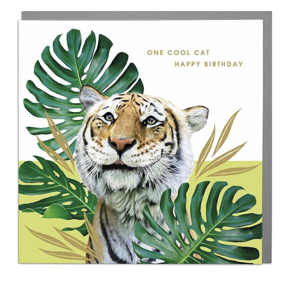 Happy Birthday Tiger One Cool Cat Greeting Card