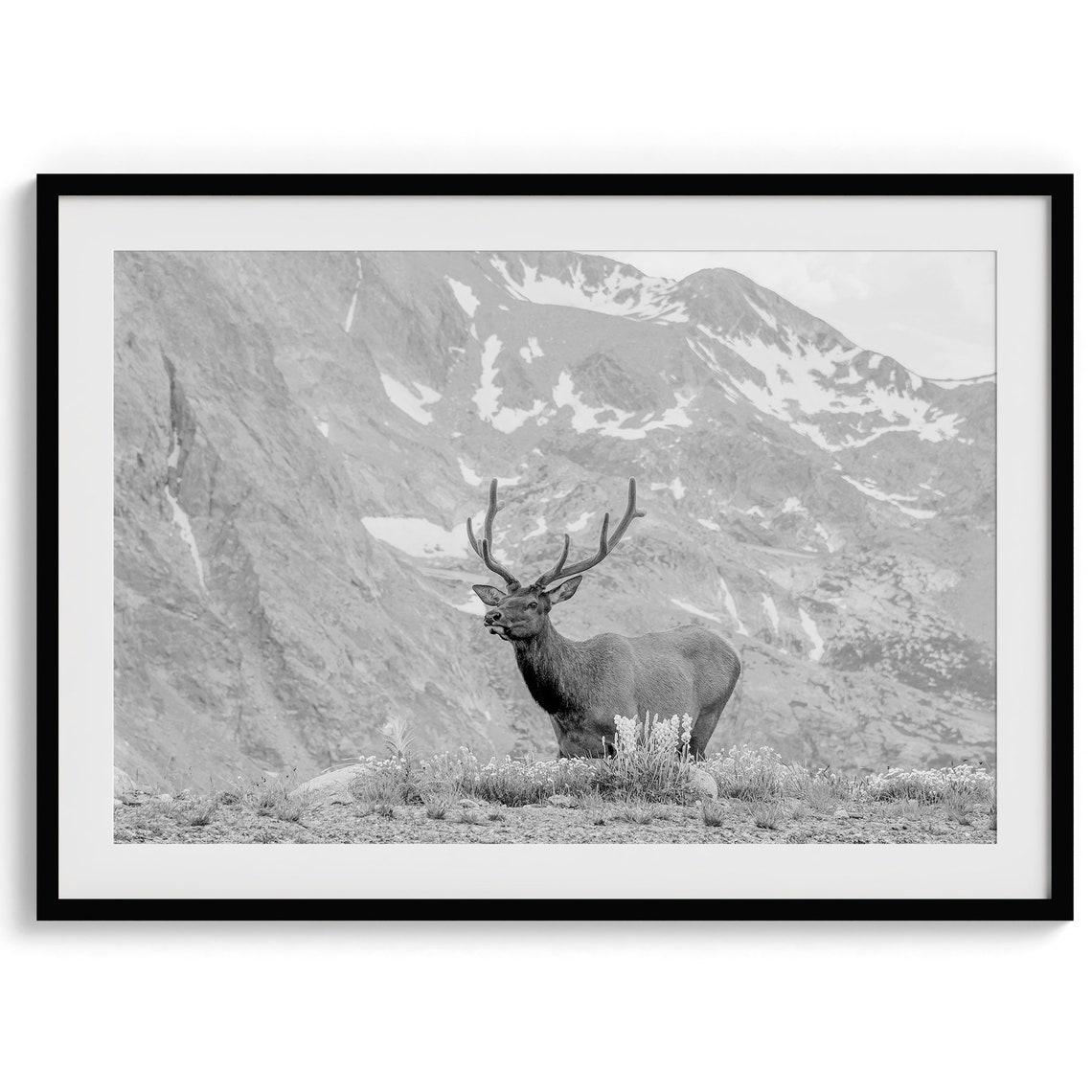Rocky Mountain Bull Elk Antlers Snowy Peak Meadow Wildlife Poster - Image 2
