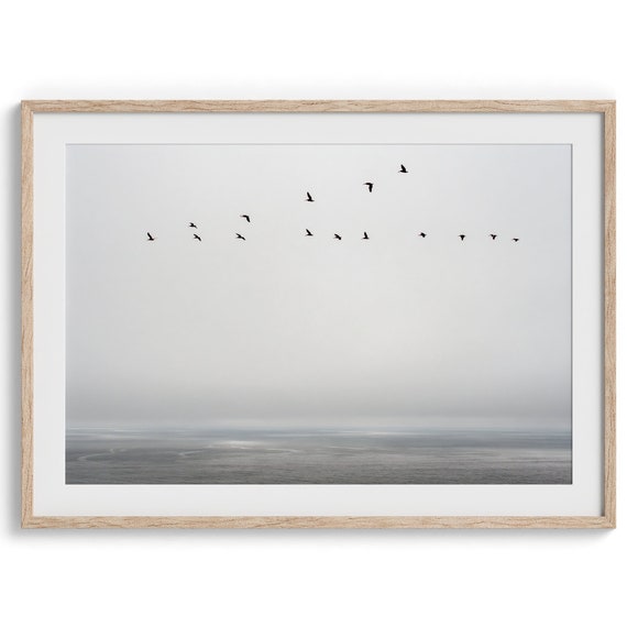 Minimalist Ocean Bird Photography Print, Pacific Northwest