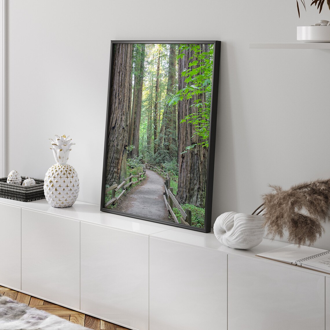 California Redwood Trees Forest Nature Art Print - Image 4