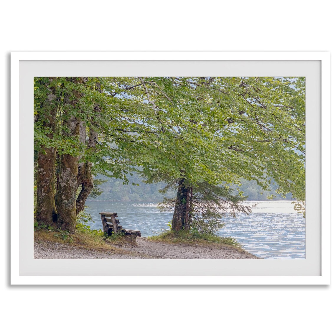 Serene Beach Lake Tree Fine Art Photography Print - Image 2