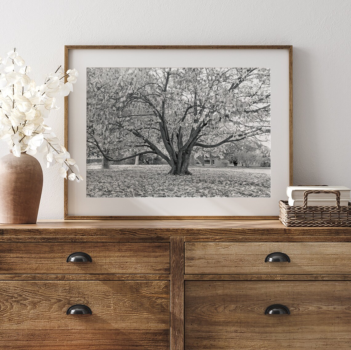 Black and White Tree Photography Art Print, Paris - Image 5