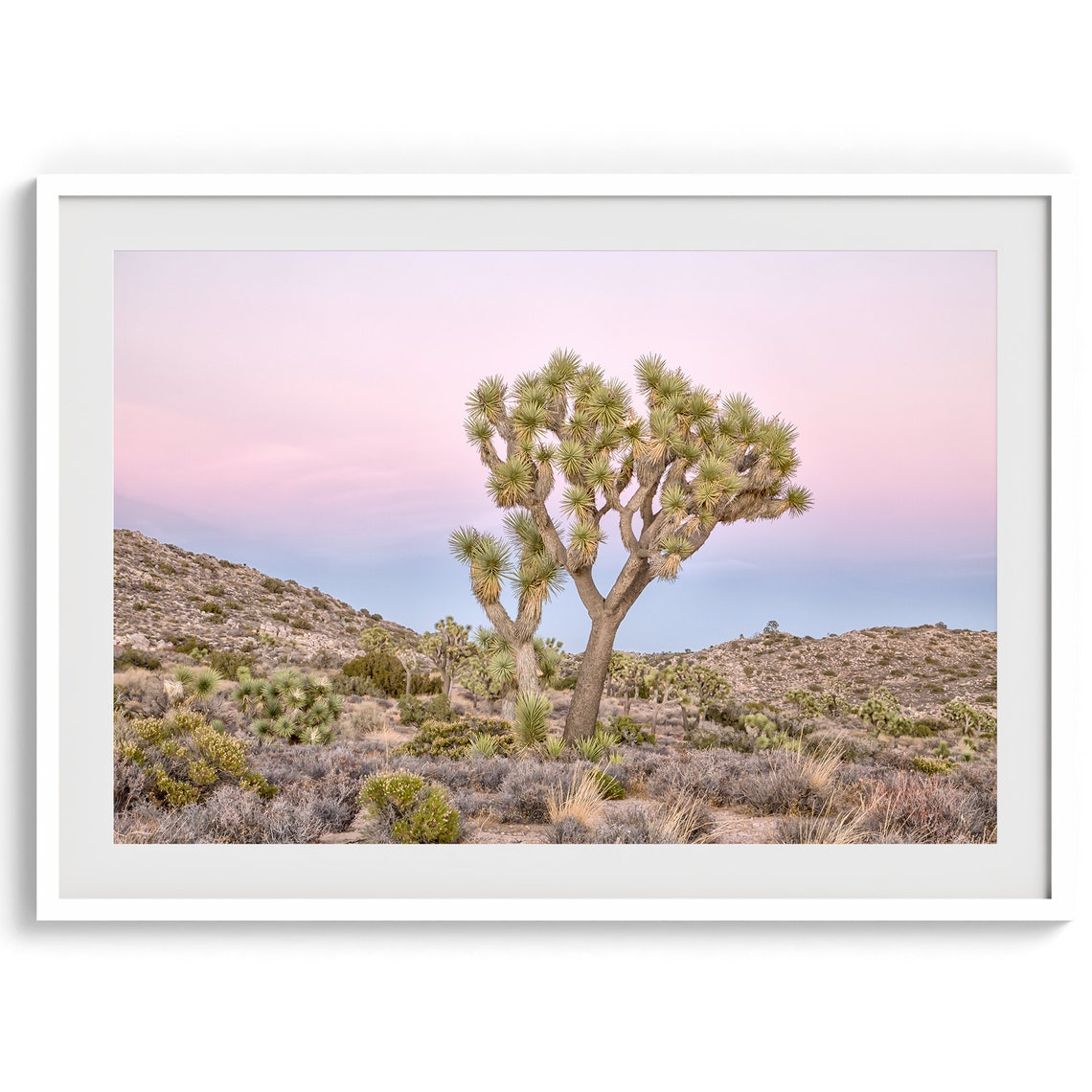 Joshua Tree National Park Pink Sunset Sky Lone Desert Tree Poster - Image 2