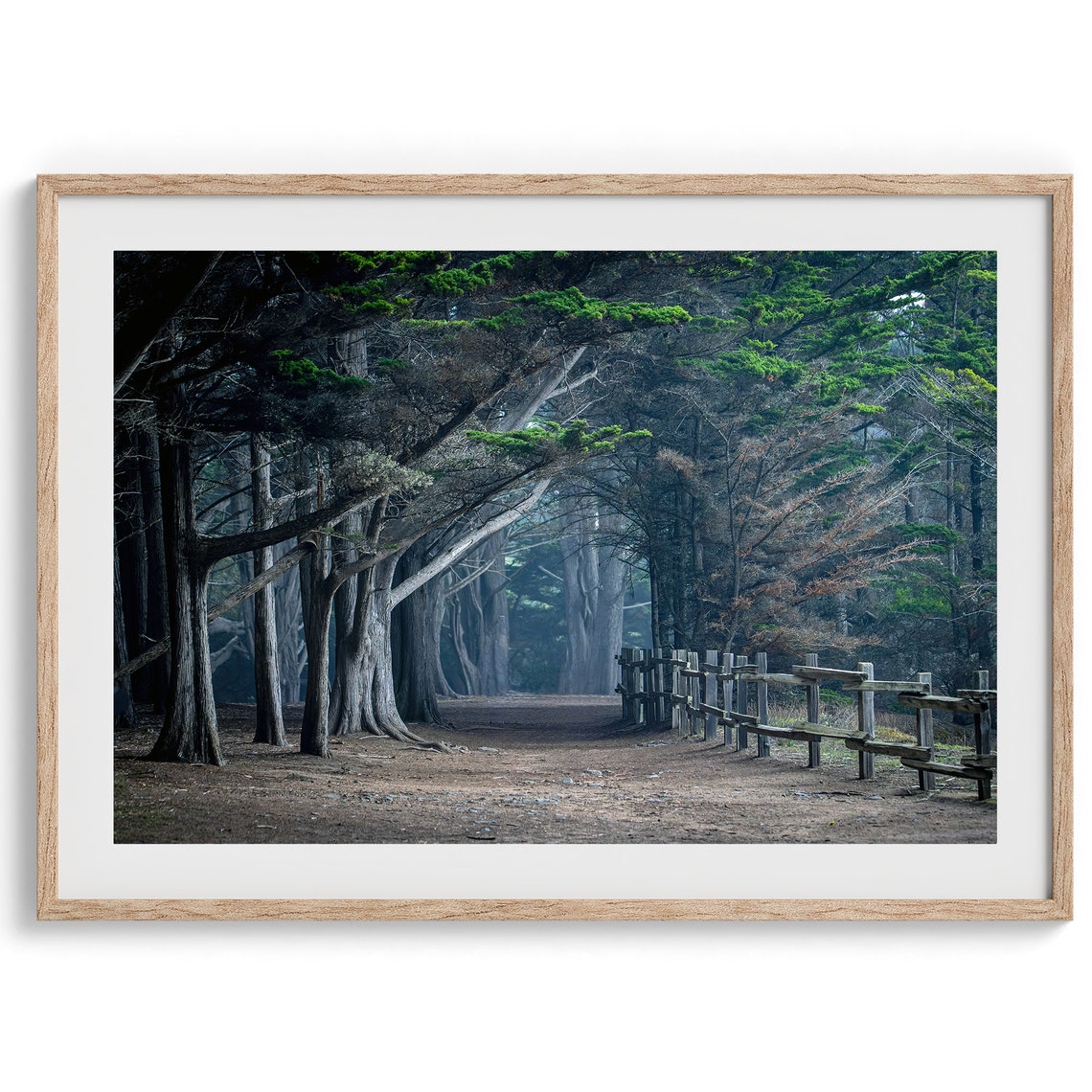 Cypress Tree Tunnel Dark Forest Path Moody Woodland Landscape Print - Image 3