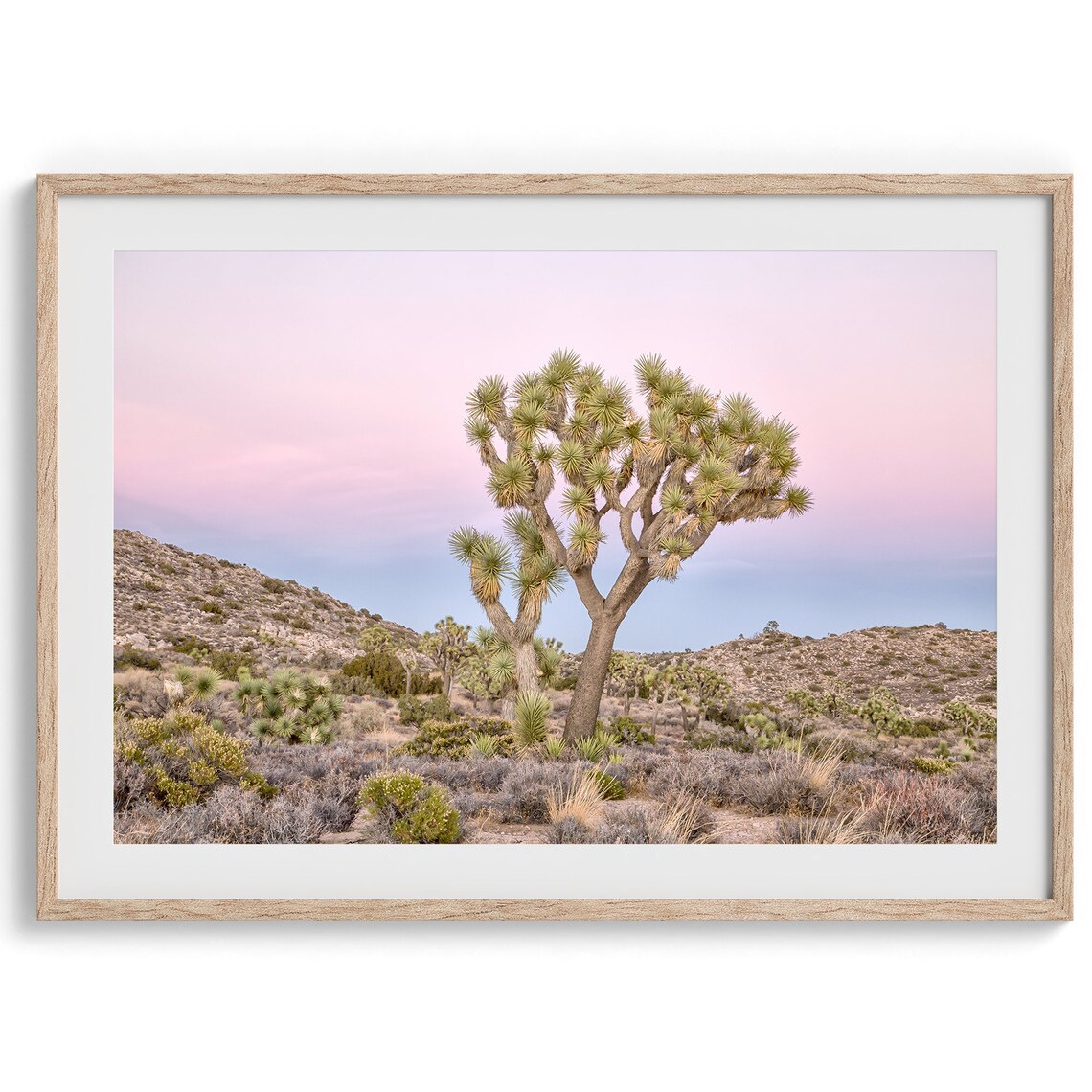 Joshua Tree National Park Pink Sunset Sky Lone Desert Tree Poster