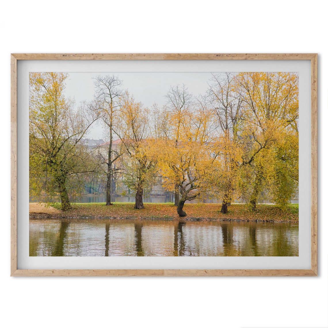 Prague Czech Autumn Trees Along River Golden Reflections Poster