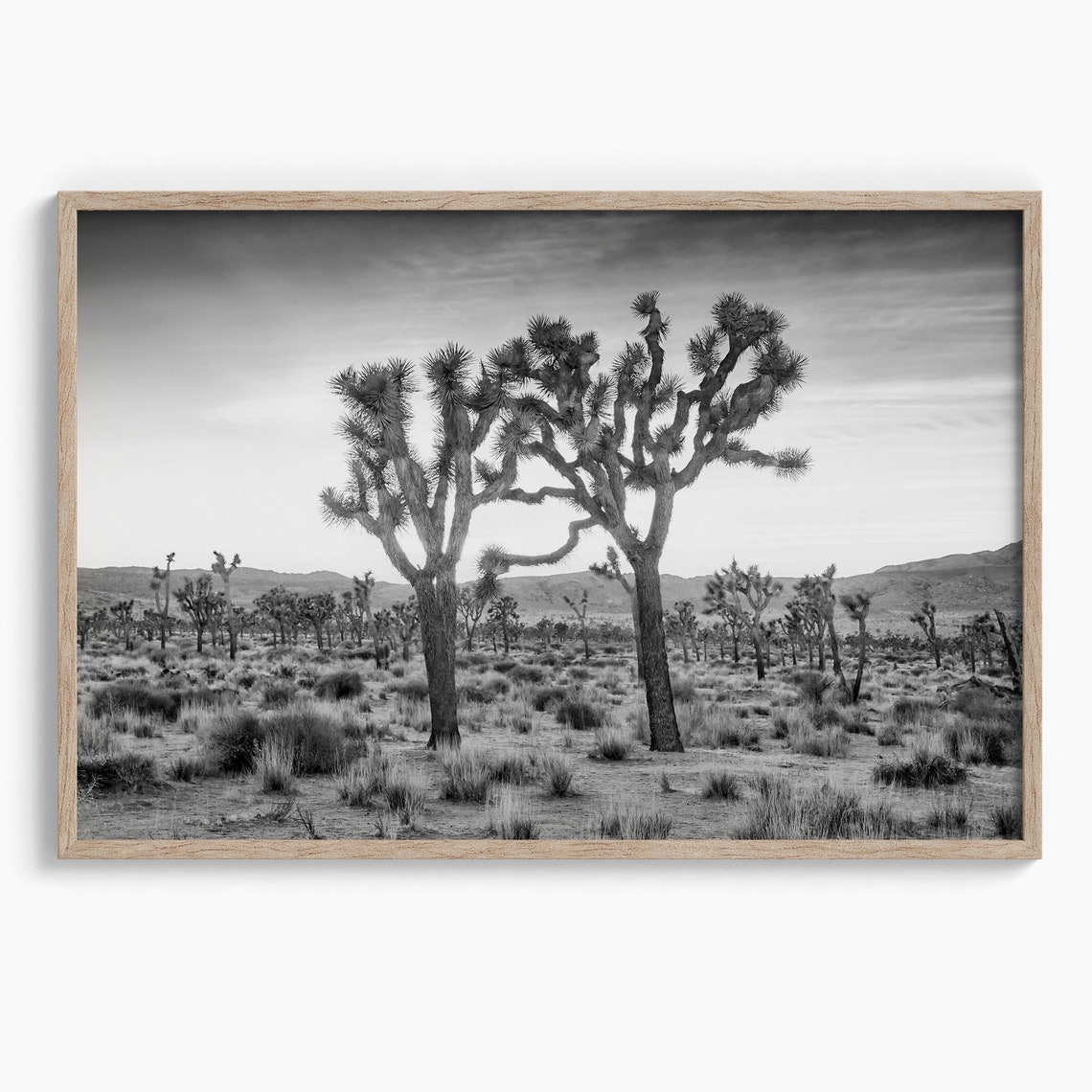 Joshua Tree National Park Twin Joshua Trees Sunset Desert Poster - Image 2