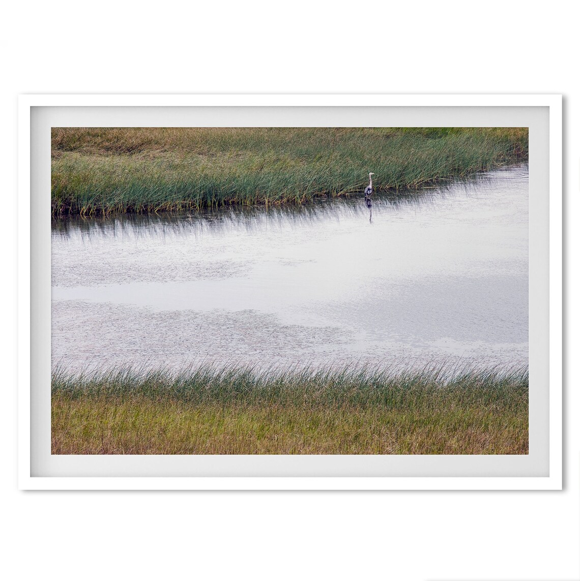 Serene Marsh Wetland Great Blue Heron In Reeds Calm Nature Poster - Image 4