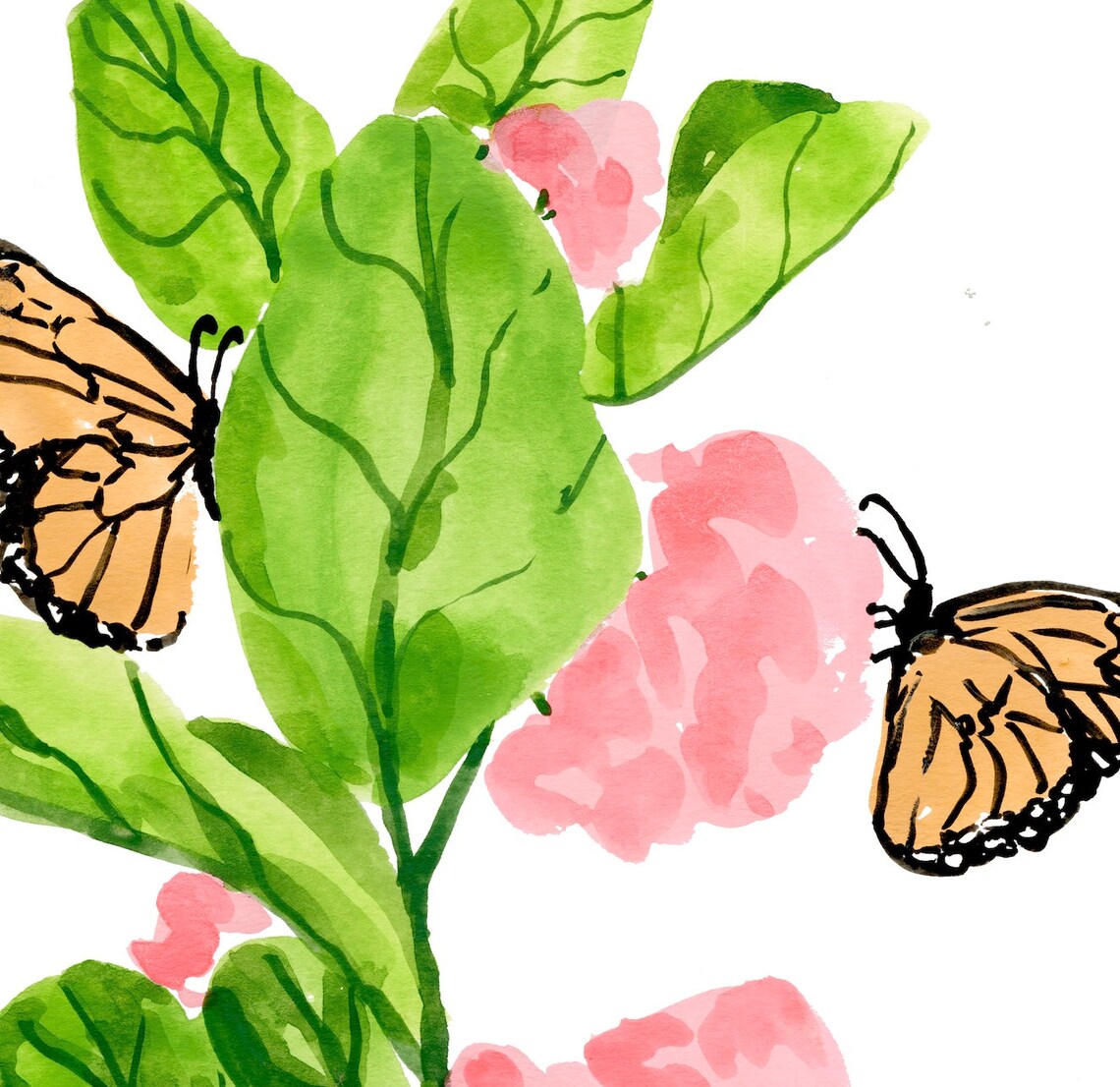 Monarch Butterflies And Milkweed Watercolor Art Print - Image 3