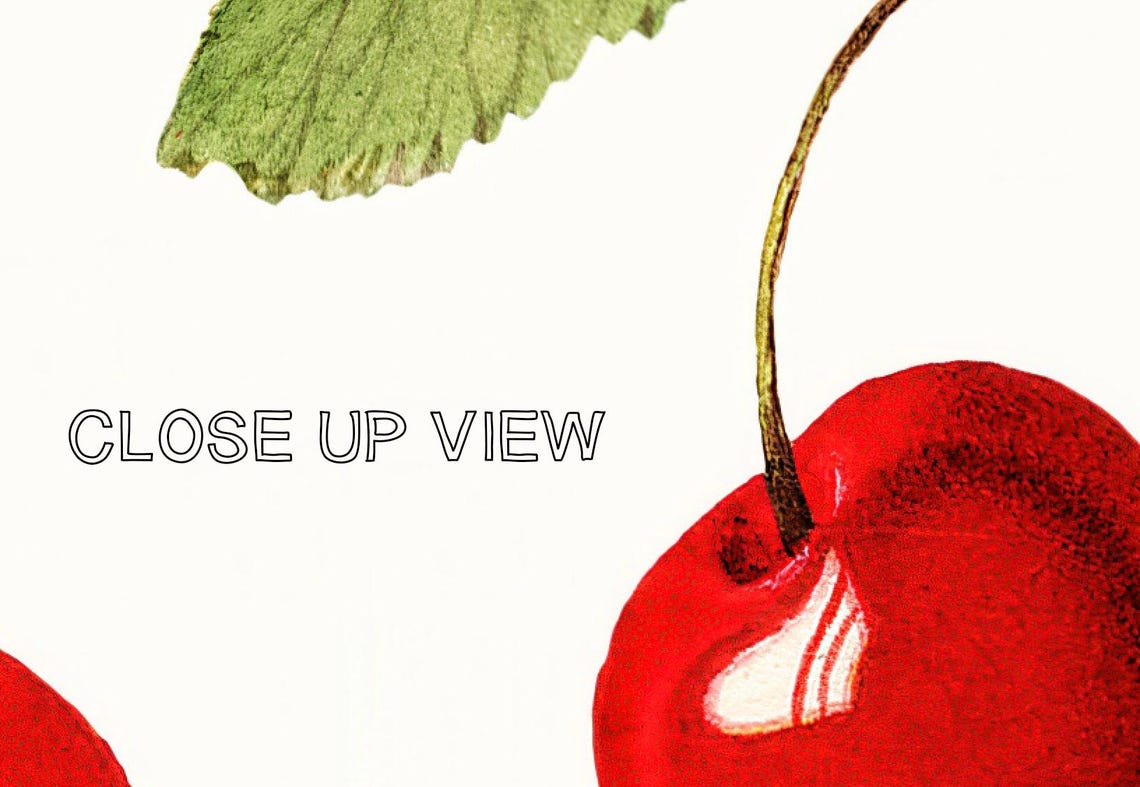 Vintage Red Cherry Pattern Botanical Fruit Illustration Poster - Image 3