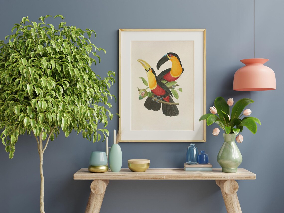 Pair of Toucans Vintage Natural History Bird Illustration Poster - Image 2
