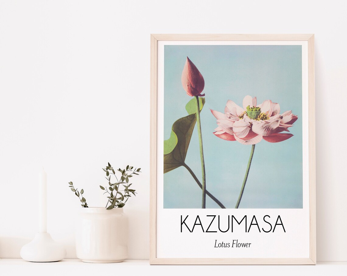 Kazumasa Lotus Flower Vintage Japanese Botanical Photo Poster