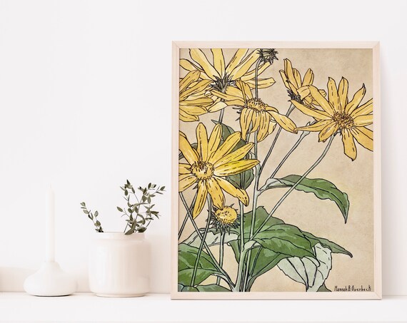 Hannah Overbeck Sunflowers Yellow Vintage Botanical Art Poster