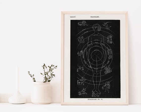 Solar Biology Diagram Hiram Erastus Butler Astrology Poster Anatomy Gift Ideas