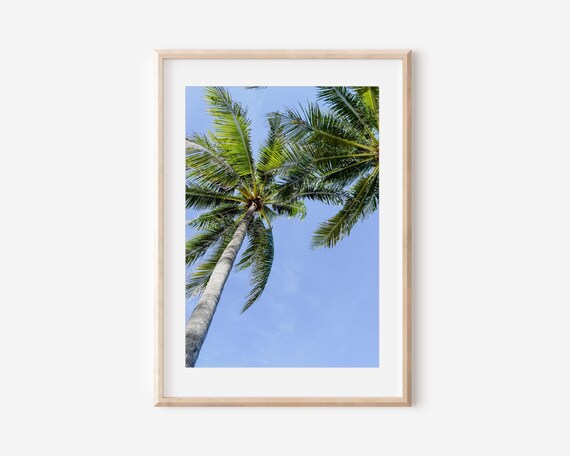 Tall Palm Trees Against Blue Sky Tropical Coastal Photo Poster