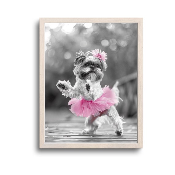 Funny Shih Tzu Print Wall Art Gifts Decor Photo Whimsical Animals