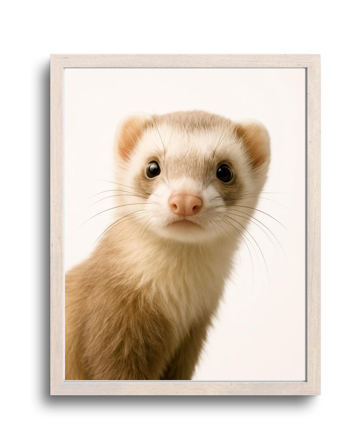 Cute Ferret Close Up Portrait Minimalist Sweet Animal Art Poster