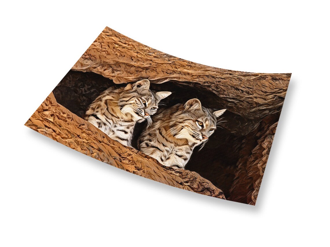 Two Bobcats Peeking From Rocky Desert Cave Wildlife Nature Art Print - Image 2